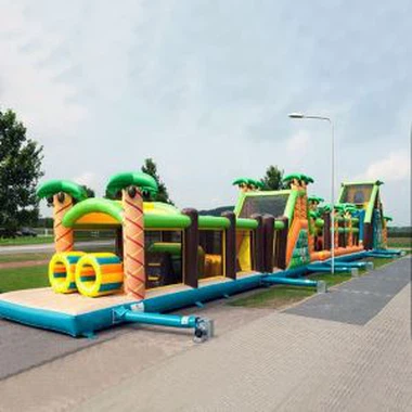 Constaic faoi Dhíon Teach Preab Inséidte